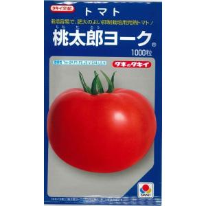 大玉トマト 桃太郎ヨーク 1000粒 タキイ種苗（株）