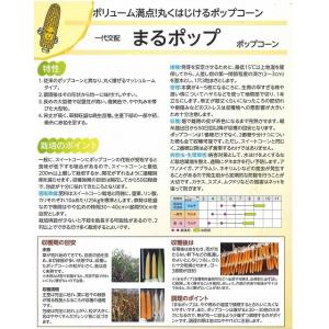 とうもろこし まるポップ 200粒 (株)サカ...の詳細画像3