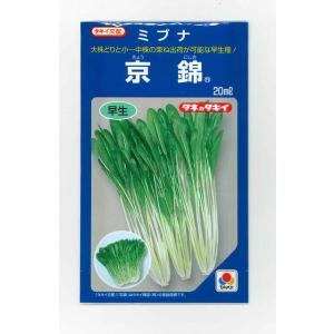 ミブナ 京錦 20ml タキイ種苗(株)の商品画像