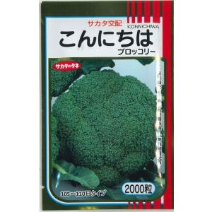 サカタのタネ ブロッコリー アーリーキャノン 2000粒 : 種苗・園芸