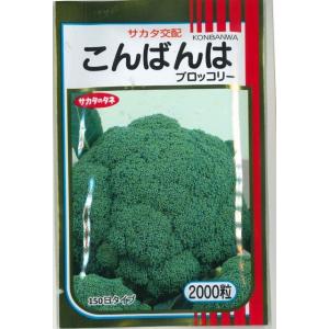 SK9-099 ブロッコリー種子 2000粒 【野菜種子】【サカタのタネ