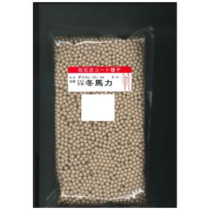 大根 冬馬力 5000粒 ペレット種子 （株）サカタのタネ｜グリーンロフトネモト