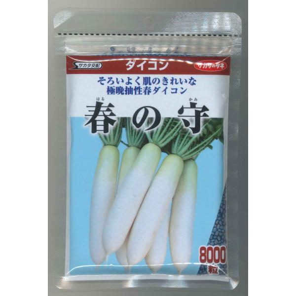 大根 春の守 8000粒 （株）サカタのタネ