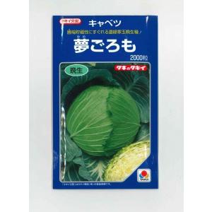 キャベツ 夢ごろも 2000粒 タキイ種苗(株)の商品画像