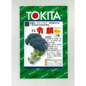 SK9-099 ブロッコリー種子 2000粒 【野菜種子】【サカタのタネ