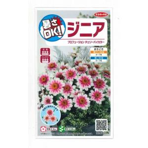 花の種　ジニア　プロフュージョン　チェリーバイカラー　約10粒　（株）サカタのタネ　実咲250