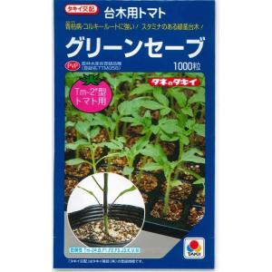 ねぎ 羽緑一本太葱ペレット種子 5000粒 （株）トーホク : グリーン