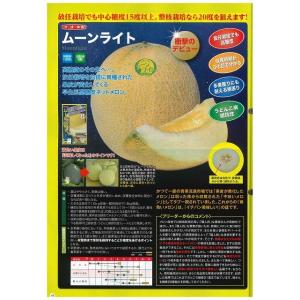 メロン ムーンライト 5粒 ナント種苗(株)の詳細画像1