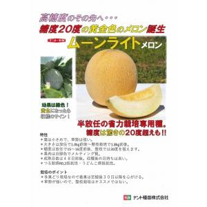 メロン ムーンライト 5粒 ナント種苗(株)の詳細画像2