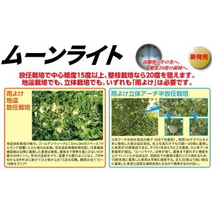 メロン ムーンライト 5粒 ナント種苗(株)の詳細画像3