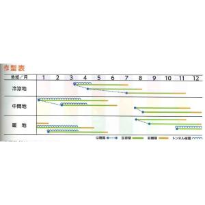 人参 アロマレッド コート 1万粒(株) トーホクの詳細画像1