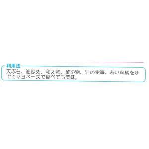 アシタバ 4ml (株)タカヤマシードの詳細画像1