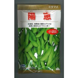 野菜種子 枝豆（えだまめ） サッポロミドリ 1L フィルムコート種子