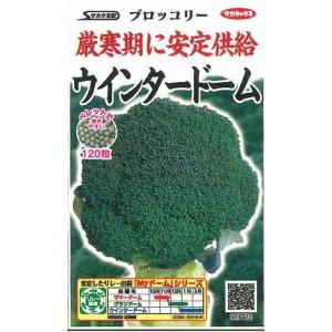 ブロッコリー ウインタードーム ペレット120粒 (株)サカタのタネ 実咲550 (003177)｜グリーンロフトネモト