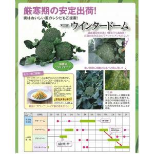 ブロッコリー ウインタードーム ペレット120...の詳細画像4