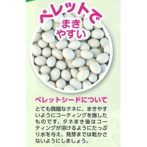 ブロッコリー サマードーム ペレット125粒 ...の詳細画像1