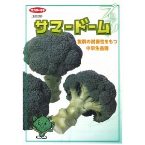 ブロッコリー サマードーム ペレット125粒 ...の詳細画像3