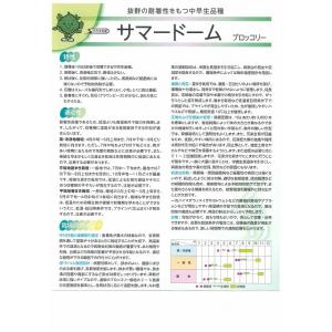 ブロッコリー サマードーム ペレット125粒 ...の詳細画像4