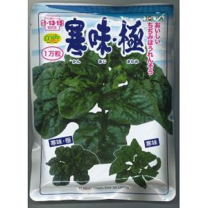 ほうれんそう 寒味・極 1万粒 トキタ種（株）