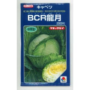 キャベツ  　ＢＣＲ龍月　2000粒　タキイ種苗（株）