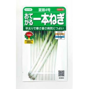 ねぎ 森の奏で 5ml トキタ種苗 : グリーンロフトネモト - 通販 - Yahoo