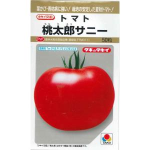 台木(トマト用) キングバリア コート 2L 1000粒 タキイ種苗（株