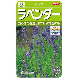 ハーブの種　　ラベンダー　（約60粒）　サカタのタネ　実咲
