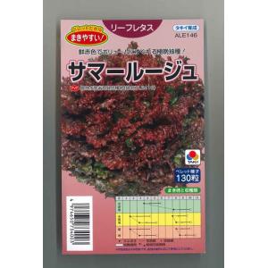 ねぎ ホワイトスター ペレット種子5000粒 タキイ種苗（株） : グリーン