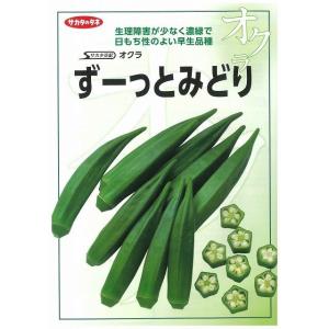 オクラ ずーっとみどり 1000粒 (株)サカ...の詳細画像2