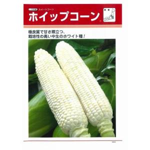 とうもろこし ホイップコーン 200粒 タキイ...の詳細画像1
