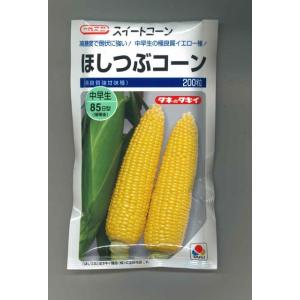 とうもろこし ほしつぶコーン 200粒 タキイ種...の商品画像