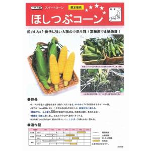 とうもろこし ほしつぶコーン 200粒 タキイ...の詳細画像1