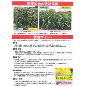 とうもろこし ほしつぶコーン 200粒 タキイ...の詳細画像2