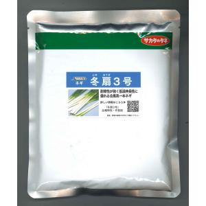 ねぎ ちゃんこ葱 2 20ml トキタ種苗 : グリーンロフトネモト - 通販