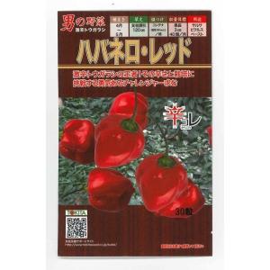 とうがらし　ハバネロ・レッド　30粒　トキタ種苗（株）