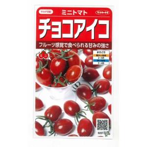 野菜の種 実咲野菜0110 ミニトマトチョコアイコ : STYLE1187 - 通販