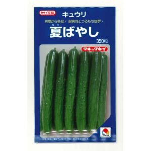 きゅうり ニーナZ 350粒 （株）埼玉原種育成会 : グリーンロフトネモト