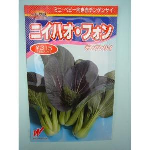 SK9-099 ブロッコリー種子 ペレット5000粒 【野菜種子】【サカタのタネ