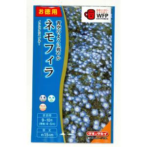 ネモフィラ 苗の商品一覧 通販 Yahoo ショッピング