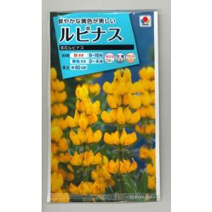 ルピナス 苗 花の種 の商品一覧 種 種子 花 ガーデニング 通販 Yahoo ショッピング