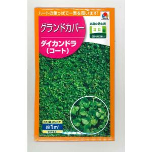 景観形成作物　グランドカバー　ダイカンドラ（コート）20ｍｌ　タキイ種苗（株）