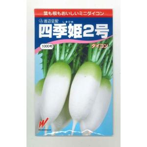 枝豆 夏風香 70ml(約140粒) 雪印種苗（株） : グリーンロフトネモト