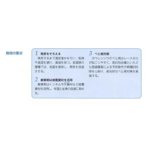 ほうれんそう 寒兵衛 3万粒(種子サイズ:M)...の詳細画像2