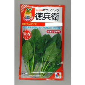 サカタのタネ（サカタノタネ） とうもろこし ゴールドラッシュ90 2000