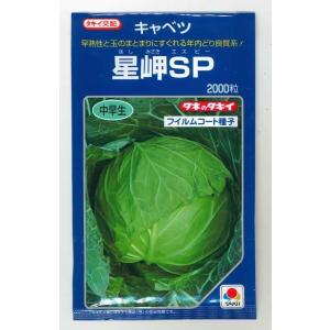 キャベツ 星岬SP 2000粒 タキイ種苗（株）