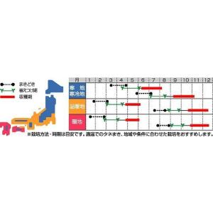 ブロッコリー 緑嶺 ペレット5000粒 (株)...の詳細画像1