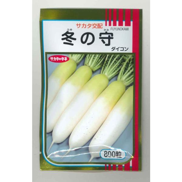 大根 冬の守 800粒 （株）サカタのタネ