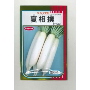 大根 夏相撲 800粒 （株）サカタのタネ