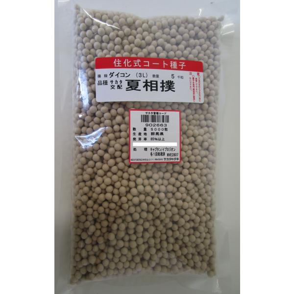 大根 夏相撲 ペレット種子5000粒 （株）サカタのタネ