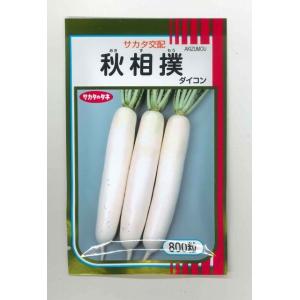 大根 秋相撲 800粒 （株）サカタのタネ